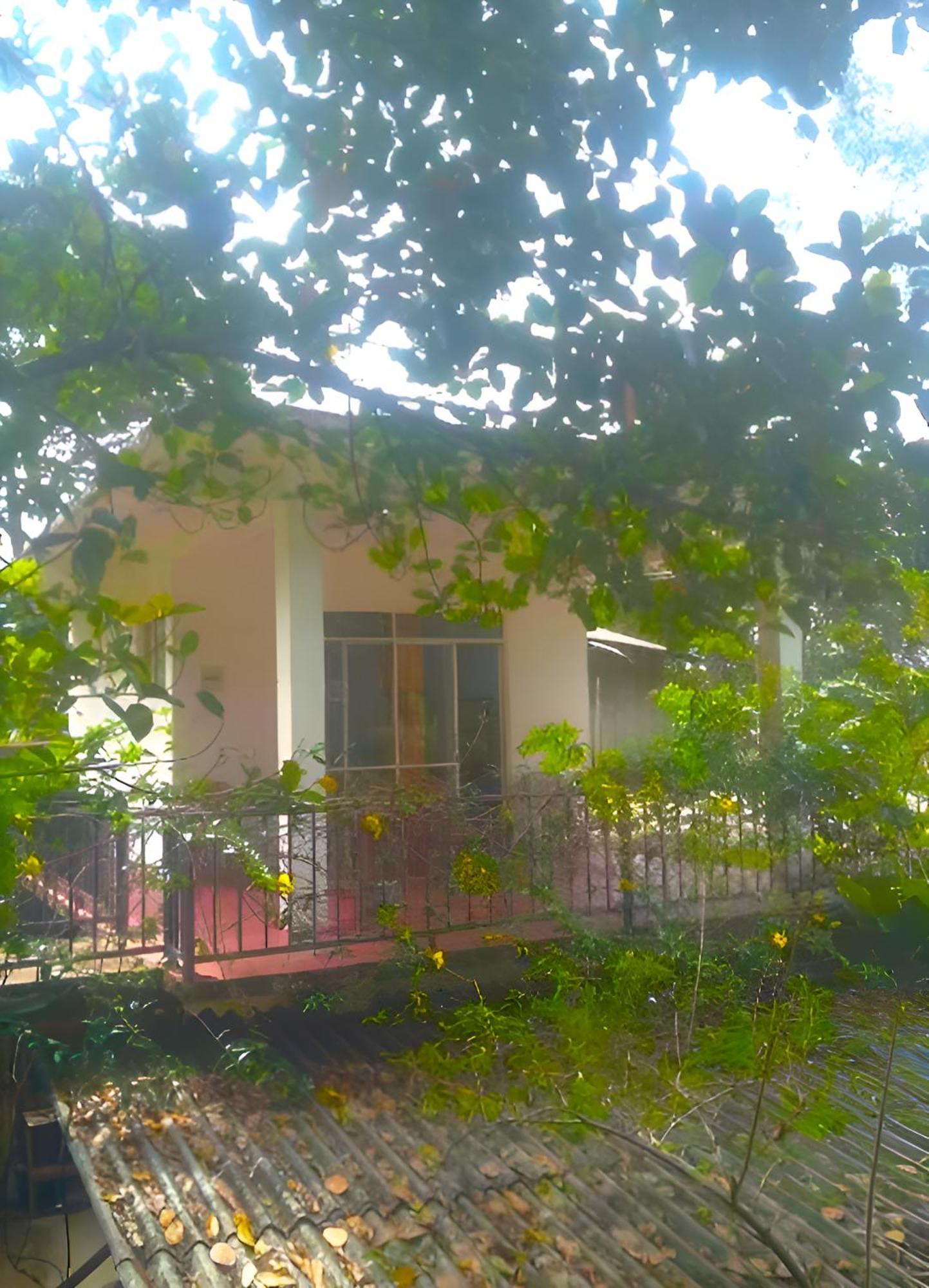Senehas Homestay Ella Luaran gambar